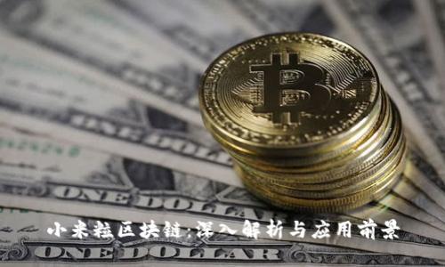 小米粒区块链：深入解析与应用前景