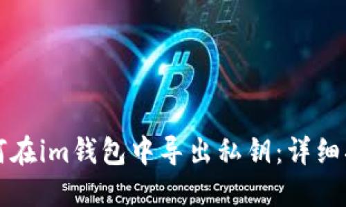 如何在im钱包中导出私钥：详细指南