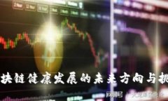 区块链健康发展的未来方向与挑战