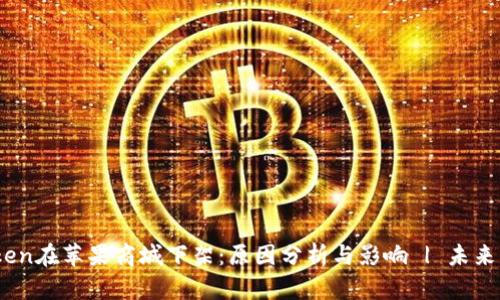iToken在苹果商城下架：原因分析与影响 | 未来展望