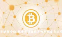 区块链哈勃：探索区块链技术的新视角与应用