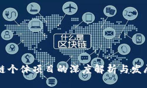 区块链个体项目的深度解析与发展前景