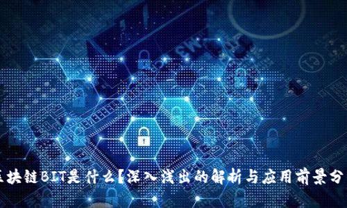 区块链BIT是什么？深入浅出的解析与应用前景分析