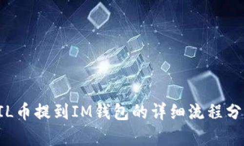 FIL币提到IM钱包的详细流程分析