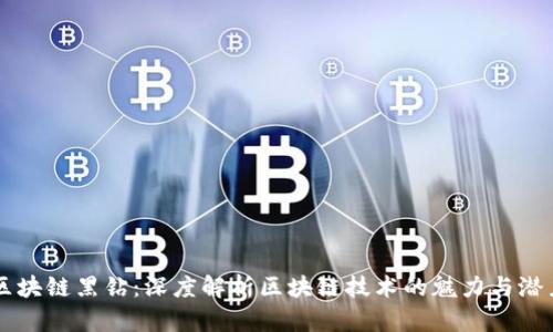 区块链黑钻：深度解析区块链技术的魅力与潜力