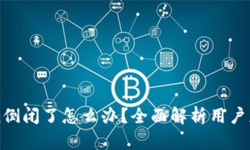 imToken倒闭了怎么办？全面解析用户应对策略