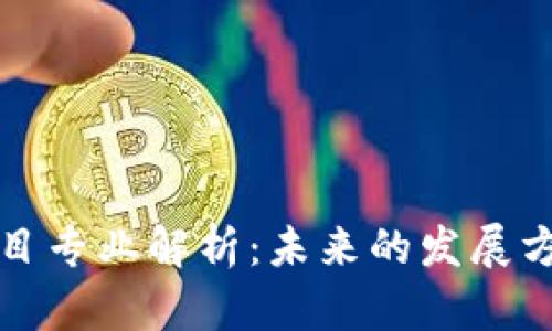 区块链筛选项目专业解析：未来的发展方向与选择策略