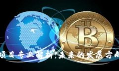 区块链筛选项目专业解析：未来的发展方向与选