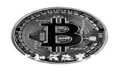 区块链技术如何改变猪肉产业链