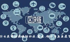 什么是前沿区块链社区：定义、特点与未来展望
