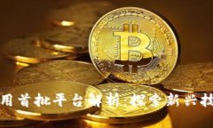 区块链应用首批平台解析：探索新兴技术的先锋