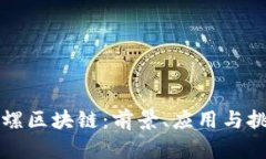 陀螺区块链：前景、应用与挑战