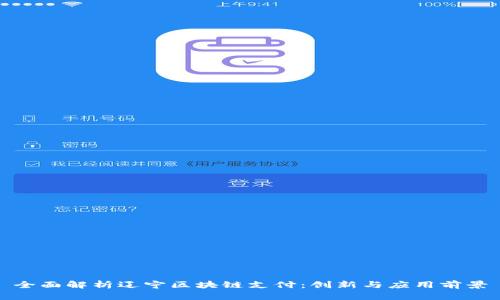 全面解析辽宁区块链支付：创新与应用前景