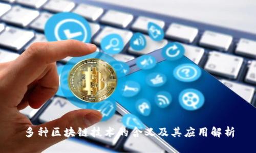 多种区块链技术的含义及其应用解析