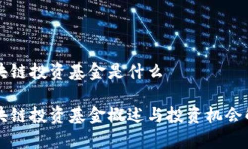 区块链投资基金是什么

区块链投资基金概述与投资机会解析