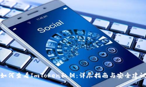 如何查看ImToken私钥：详尽指南与安全建议