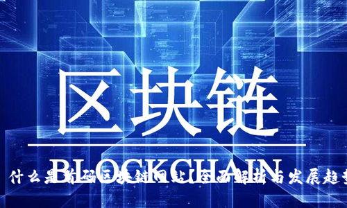 : 什么是首码区块链网站？全面解析与发展趋势