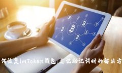 如何恢复imToken钱包：忘记助记词时的解决方案