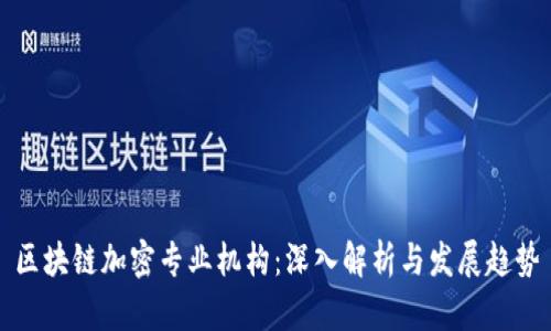 区块链加密专业机构：深入解析与发展趋势