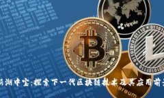 新湖中宝：探索下一代区块链技术及其应用前景