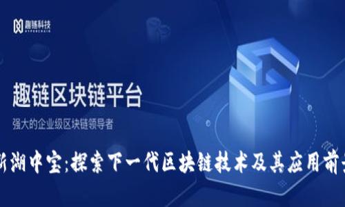 新湖中宝：探索下一代区块链技术及其应用前景