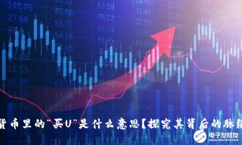 区块链货币里的“买U”是什么意思？探究其背后的脉络与影响
