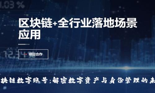 区块链数字账号：解密数字资产与身份管理的未来