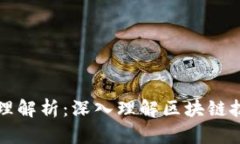 区块链实验原理解析：深入理解区块链技术的核