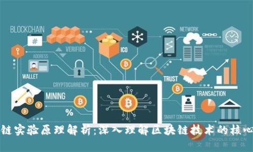 区块链实验原理解析：深入理解区块链技术的核心机制