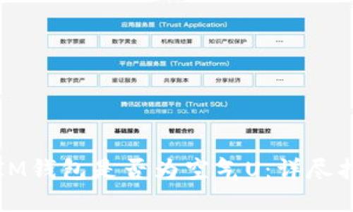 如何辨别IM钱包是否为空气U：详尽指南与技巧
