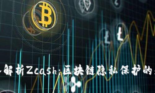 深入解析Zcash：区块链隐私保护的先锋
