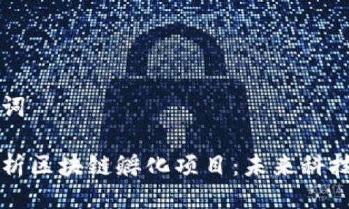 与关键词

深入解析区块链孵化项目：未来科技的摇篮