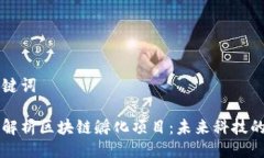 与关键词深入解析区块链孵化项目：未来科技的