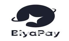 区块链的深刻含义：技术、经济与社会变革的新