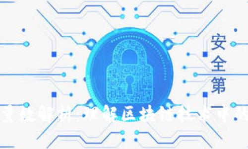 区块链的量数解析：理解区块链技术中的量数概念