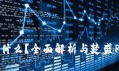 区块链是什么？全面解析与楚盛PPT的结合