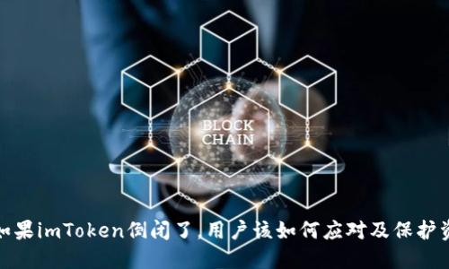 : 如果imToken倒闭了，用户该如何应对及保护资产