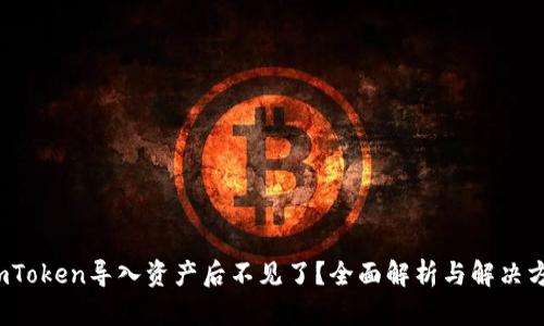  imToken导入资产后不见了？全面解析与解决方案