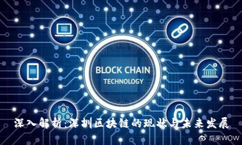 深入解析：深圳区块链的现状与未来发展