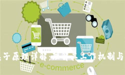 区块链夹子原理详解：理解其工作机制与应用前景