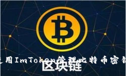 如何安全使用ImToken管理比特币密钥：全面指南