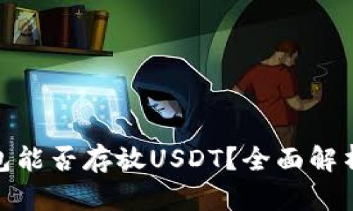 imToken钱包能否存放USDT？全面解析与使用指南