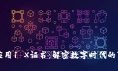 区块链应用1 X证书：解密数字时代的可信认证