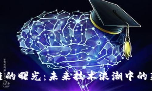 :
区块链的曙光：未来技术浪潮中的新机遇