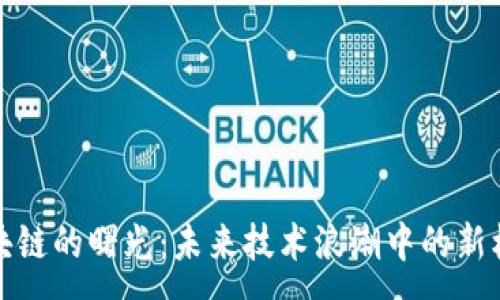 :
区块链的曙光：未来技术浪潮中的新机遇