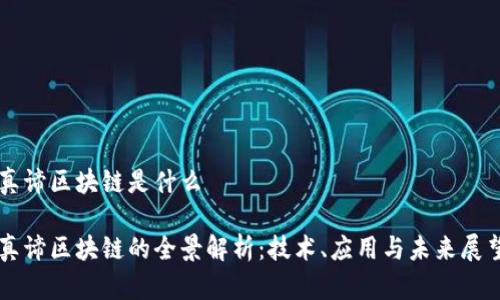 真谛区块链是什么

真谛区块链的全景解析：技术、应用与未来展望