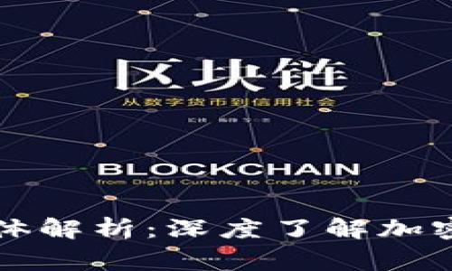 区块链玩家群体解析：深度了解加密世界的参与者