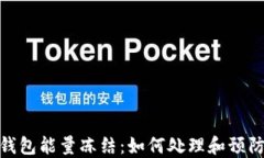imToken钱包能量冻结：如何处理和预防方法指南