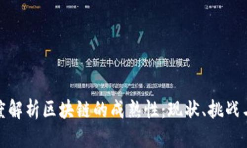 : 深度解析区块链的成熟性：现状、挑战与未来