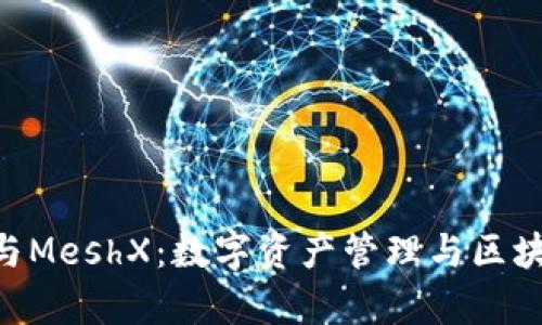 深入解析imToken与MeshX：数字资产管理与区块链技术的完美结合